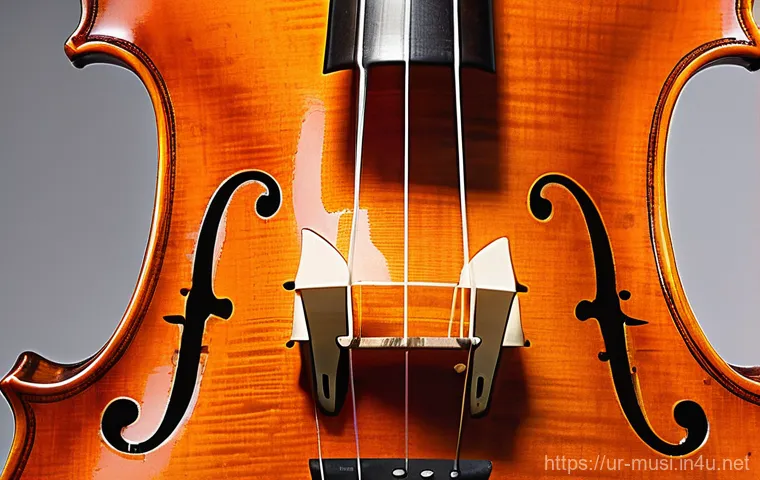 바이올린 명품 브랜드 - **Prompt:** A close-up, high-definition photograph of an antique Italian violin, reminiscent of a St...