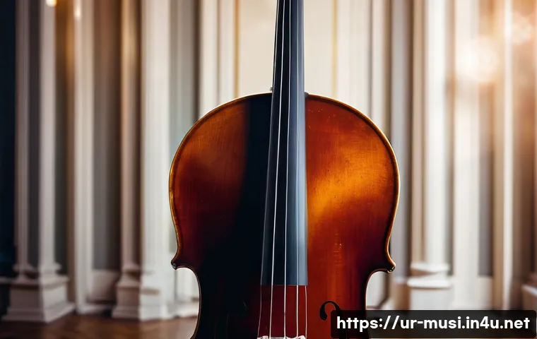 첼로 연주 관련 영상 추천 관련 이미지 2